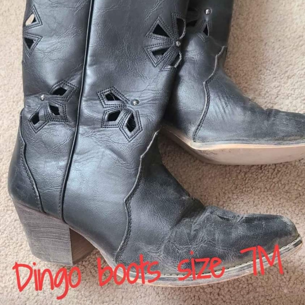 Dingo boots